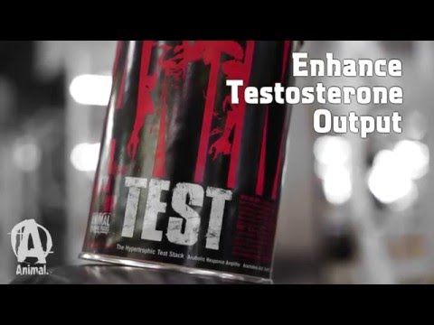 Animal Test - 21 paks
